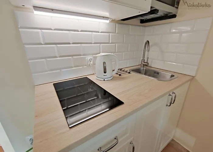 Michałówka Willa *