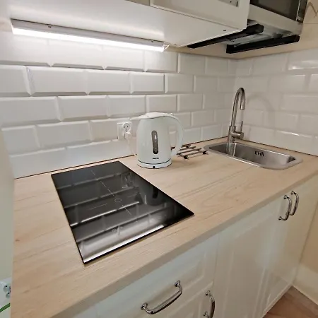 Michałówka Villa *